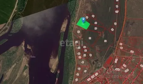 Участок в Амурская область, Благовещенский район, с. Марково  (300.0 ...