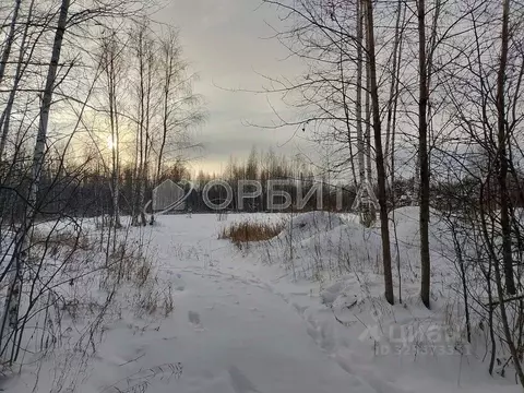 Участок в Тюменская область, Нижнетавдинский муниципальный округ, ...