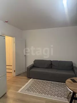 Студия Ленинградская область, Всеволожское городское поселение, пос. ...