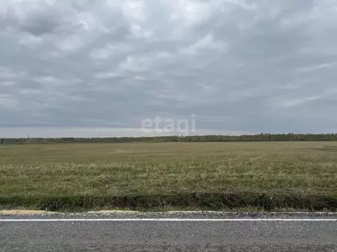 Участок в Тюменская область, Тюменский район, д. Елань  (8.0 сот.)