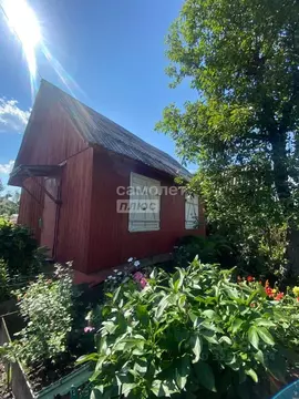 Участок в Московская область, Егорьевск Дорожник садовое товарищество, ...