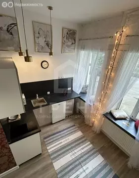 Квартира-студия: Санкт-Петербург, Майков переулок, 4А (15 м)