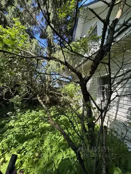 Участок в Ленинградская область, Волосовский район, Клопицкое с/пос, ...