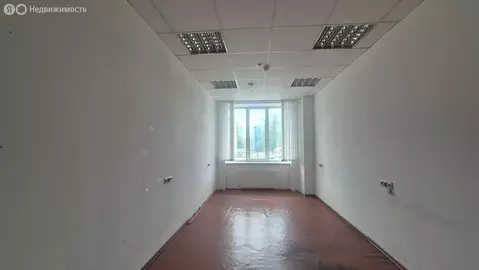 Офис (71.5 м)