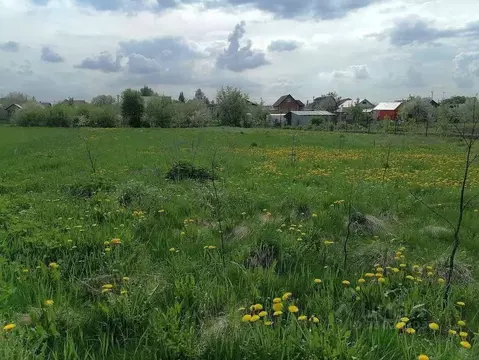 Участок в Рязанская область, Рыбновский муниципальный округ, с. ...