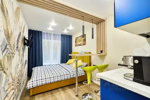 Студия Санкт-Петербург Невский просп., 142 (23.0 м)