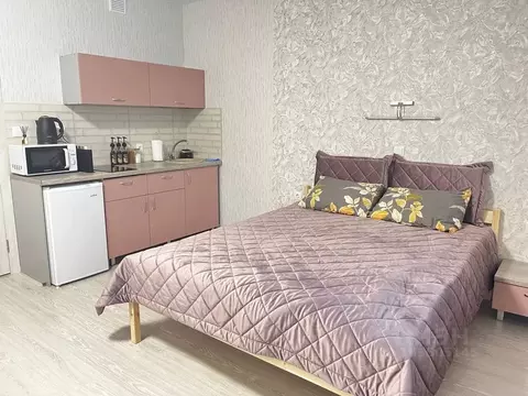 Студия Пермский край, Пермь ул. Барамзиной, 32 (23.0 м)