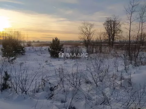 Участок в Татарстан, Нижнекамский район, Каенлинское с/пос, д. ...