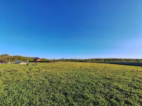 Участок в Татарстан, Зеленодольский район, Айшинское с/пос, с. Айша  ...