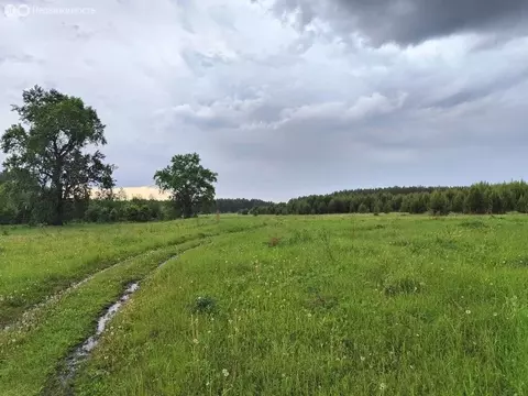 Участок в Свердловская область, Невьянский муниципальный округ, село ...