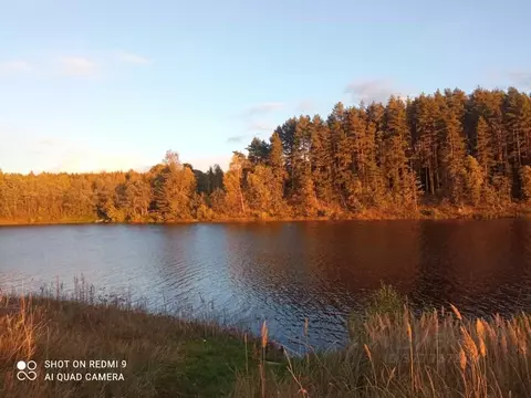 Участок в Тверская область, Кашинский муниципальный округ, д. Рагузино ...