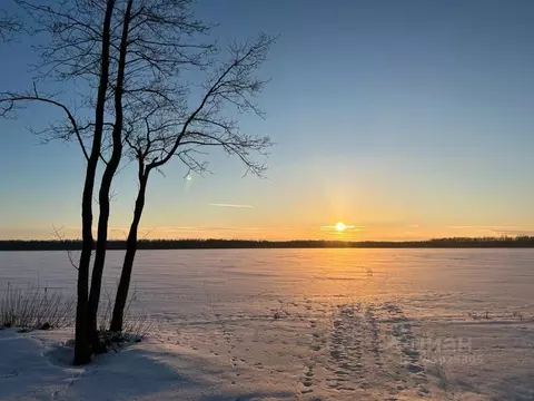 Участок в Ленинградская область, Выборгский район, Красносельское ...