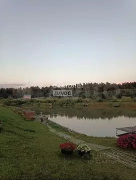 Участок в Владимирская область, Александровский муниципальный округ, ...