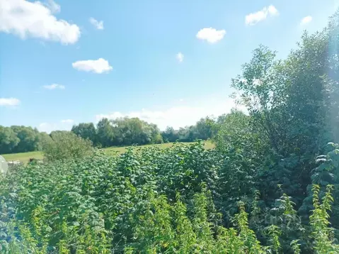 Участок в Мордовия, Дубенский район, с. Петровка  (42.0 сот.)