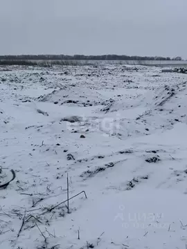 Участок в Белгородская область, Белгородский район, Головинское с/пос, ...