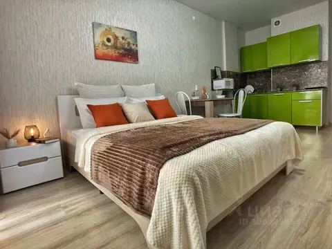 Студия Пермский край, Пермь ул. Революции, 54 (29.0 м)