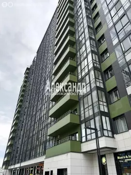1-комнатная квартира: Санкт-Петербург, Среднерогатская улица, 16к4 (23 ...