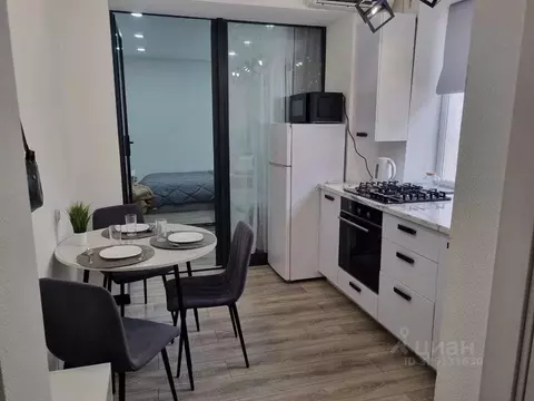 1-к кв. Краснодарский край, Анапа Терская ул., 226 (28.0 м)