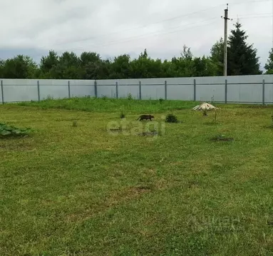 Участок в Костромская область, Костромской район, Бакшеевское с/пос, ...