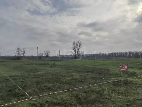 Участок в Ростовская область, Аксайский район, Ольгинское с/пос, ...