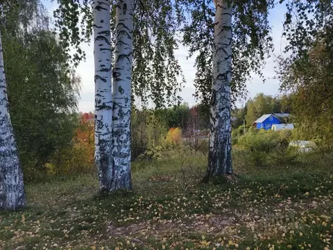 Участок в Пермский край, Пермский муниципальный округ, Медовый Дол № 3 ...