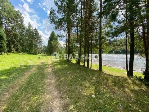Участок в Алтай, Турочакский район, с. Тулой  (20.0 сот.)
