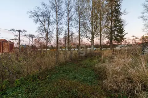 Участок в Ленинградская область, Любань Тосненский район, Московское ...