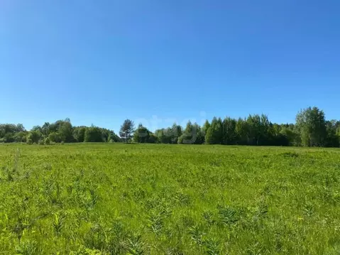 Участок в Вологодская область, д. Игнатово  (15.0 сот.)