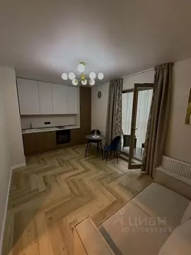 1-к кв. Санкт-Петербург просп. Авиаконструкторов, 54 (25.0 м)