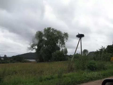 Участок в Псковская область, Дедовичский район, Пожеревицкая волость, ...
