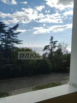 Студия Крым, Ялта муниципальный округ, Симеиз пгт ул. Владимира ...