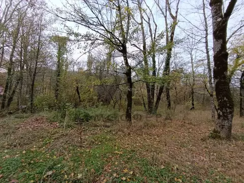 Участок в Краснодарский край, Туапсинский муниципальный округ, ...