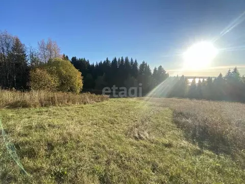 Участок в Пермский край, Добрянский муниципальный округ, д. Гари  ...