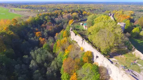 Участок в Ленинградская область, Ломоносовский район, Копорское с/пос, ...