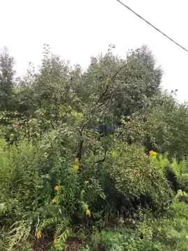 Участок в Нижегородская область, Богородский муниципальный округ, ...