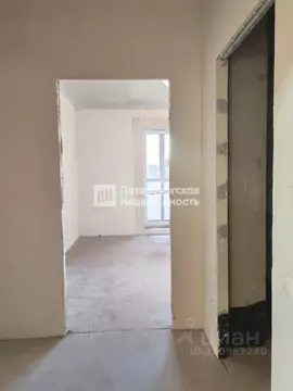 Студия Ленинградская область, Всеволожский район, д. Новое Девяткино ...