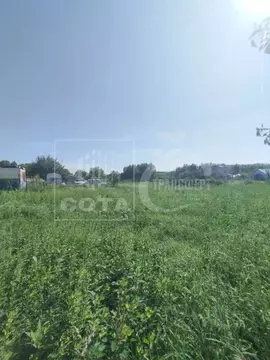 Участок в Воронежская область, Новоусманский район, с. Хреновое  (15.0 ...