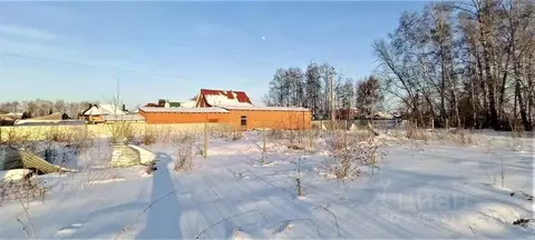 Участок в Омская область, Омский район муниципальный округ, с. Пушкино ...