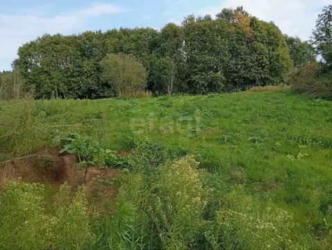 Участок в Ленинградская область, Волховский район, Деревня Вындин ...
