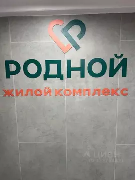 1-к кв. Курганская область, Шадринск ул. Василия Черемисина, 5 (32.0 ...