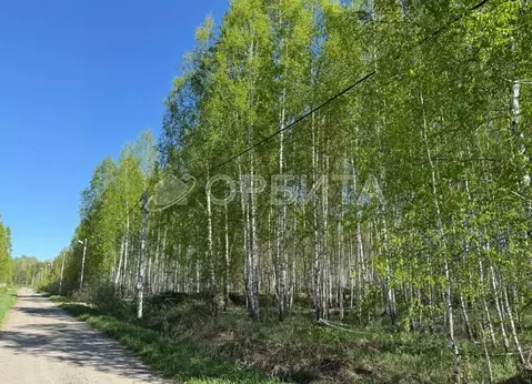 Участок в Тюменская область, Нижнетавдинский район, Березка СНТ  (6.0 ...