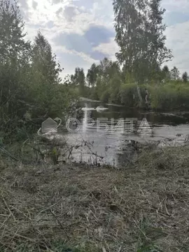 Участок в Тюменская область, Нижнетавдинский муниципальный округ, ...