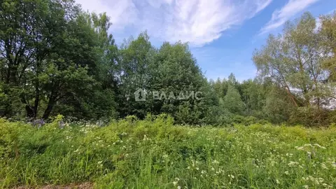 Участок в Владимирская область, Суздальский район, Боголюбовское ...