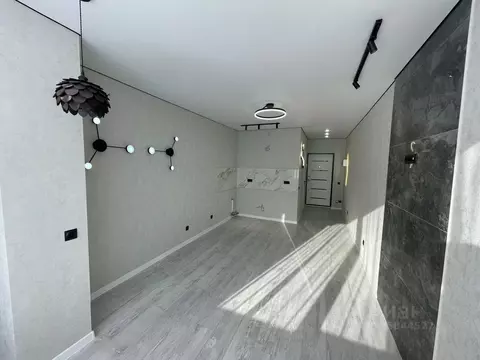 Студия Краснодарский край, Краснодар ул. Евгении Жигуленко (19.4 м)