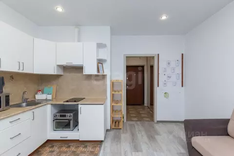 Студия Тюменская область, Тюмень ул. Верхнетарманская, 5 (23.0 м)