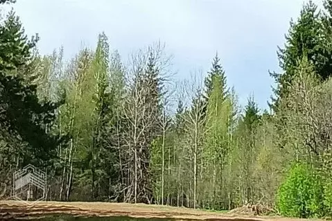 Участок в Новгородская область, Новгородский район, Савинское с/пос, ...