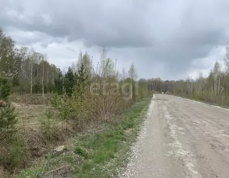 Участок в Тюменская область, Тюменский муниципальный округ, ...