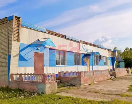 Торговая площадь в Пензенская область, Тамалинский район, д. ...