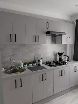 2-к кв. Санкт-Петербург Северный просп., 16К2 (45.0 м)