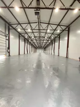 Склад в Санкт-Петербург пос. Шушары, проезд Курьерский, 8 (1000 м)